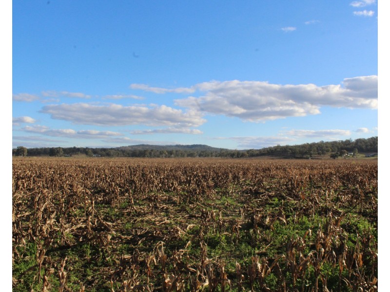 1 Condamine River Road, Pratten QLD 4370