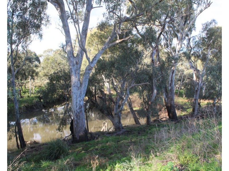 1 Condamine River Road, Pratten QLD 4370