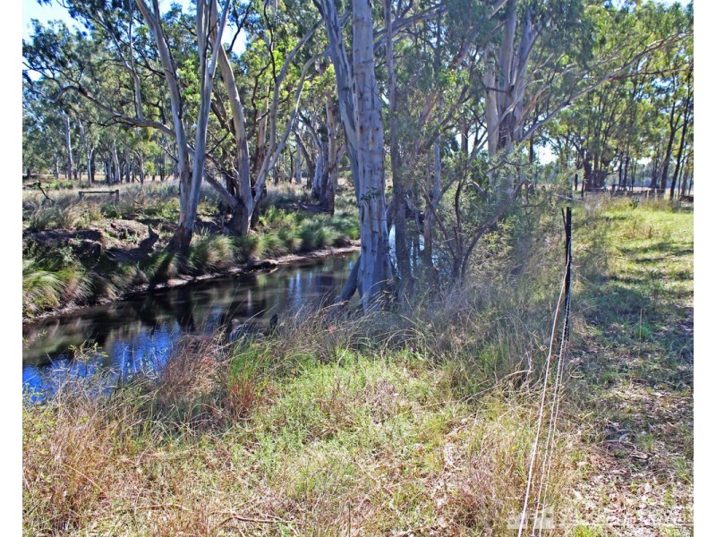 393 Reedy Creek Road, Thanes Creek QLD 4370