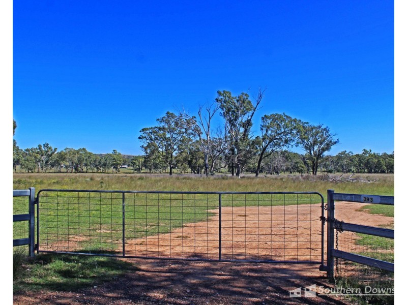 393 Reedy Creek Road, Thanes Creek QLD 4370