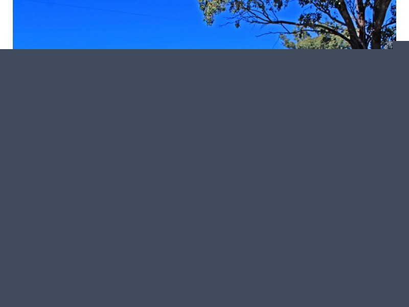 393 Reedy Creek Road, Thanes Creek QLD 4370