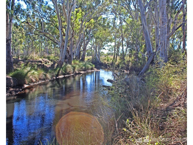 393 Reedy Creek Road, Thanes Creek QLD 4370