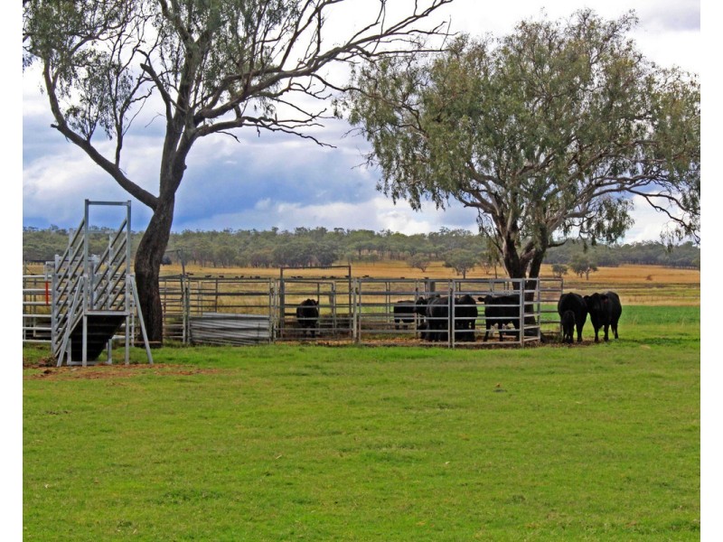 795 Forest Plain Road, Allora QLD 4362