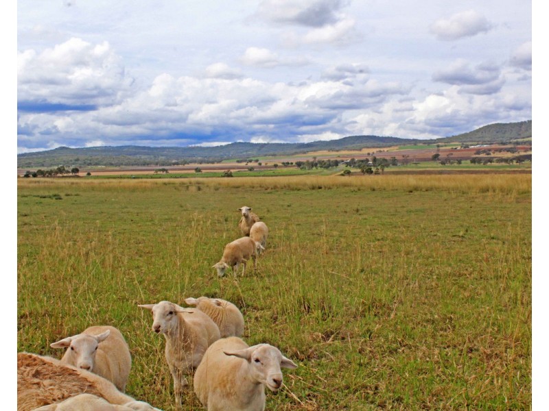 795 Forest Plain Road, Allora QLD 4362