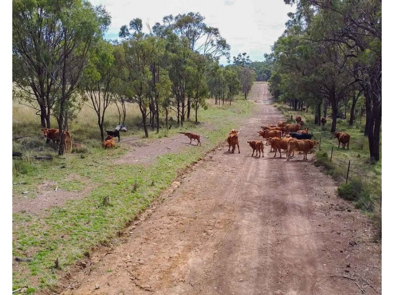 517 Blakes Road, Silverwood QLD 4370