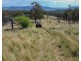 517 Blakes Road, Silverwood QLD 4370