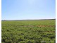 2 Box’s Road, Tannymorel QLD 4372