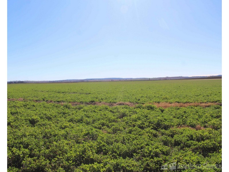 2 Box’s Road, Tannymorel QLD 4372