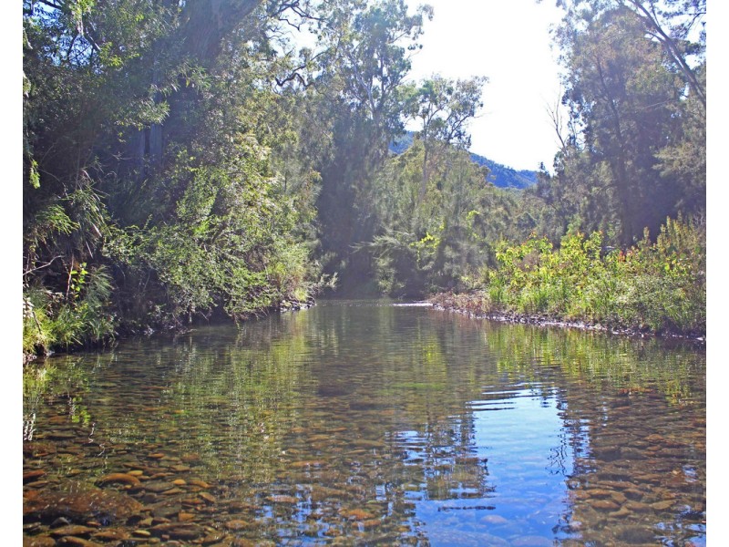 532 Emu Creek Road, Emu Vale QLD 4371