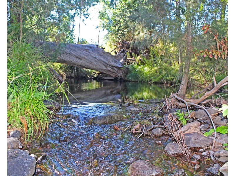 532 Emu Creek Road, Emu Vale QLD 4371