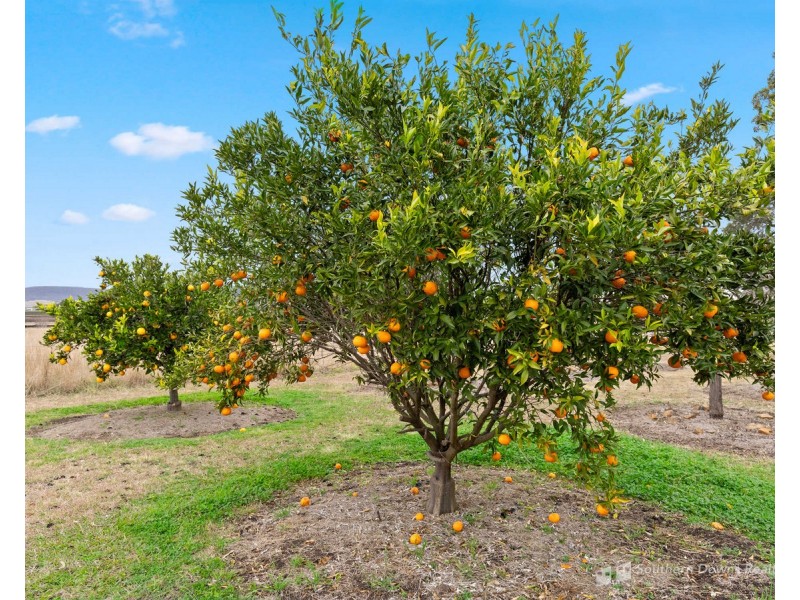 496 Forest Plain Road, Allora QLD 4362