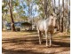 1 Ahern Lane, Pratten QLD 4370