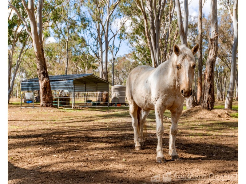 1 Ahern Lane, Pratten QLD 4370