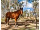 1 Ahern Lane, Pratten QLD 4370