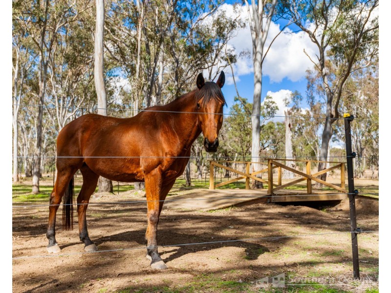1 Ahern Lane, Pratten QLD 4370