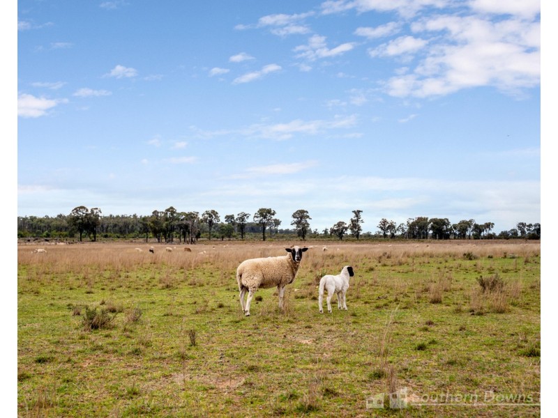 140 Wickhams Road, Karara QLD 4352