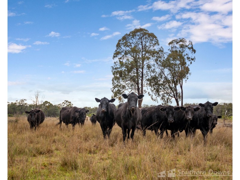 140 Wickhams Road, Karara QLD 4352