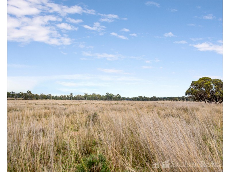 140 Wickhams Road, Karara QLD 4352