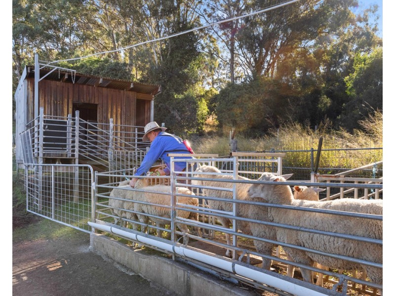 249 Coopers Gully Road, Yangan QLD 4371