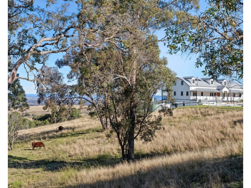 249 Coopers Gully Road, Yangan QLD 4371