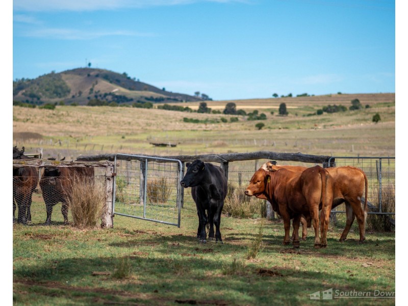 130 Tannymorel – Mt Colliery Road, Tannymorel QLD 4372