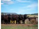 130 Tannymorel – Mt Colliery Road, Tannymorel QLD 4372
