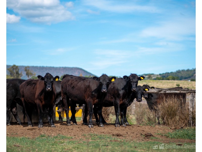 130 Tannymorel – Mt Colliery Road, Tannymorel QLD 4372