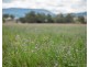 130 Tannymorel – Mt Colliery Road, Tannymorel QLD 4372