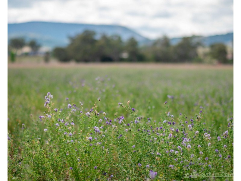 130 Tannymorel – Mt Colliery Road, Tannymorel QLD 4372