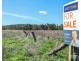 1 Condamine River Road, Pratten QLD 4370
