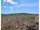 1 Condamine River Road, Pratten QLD 4370