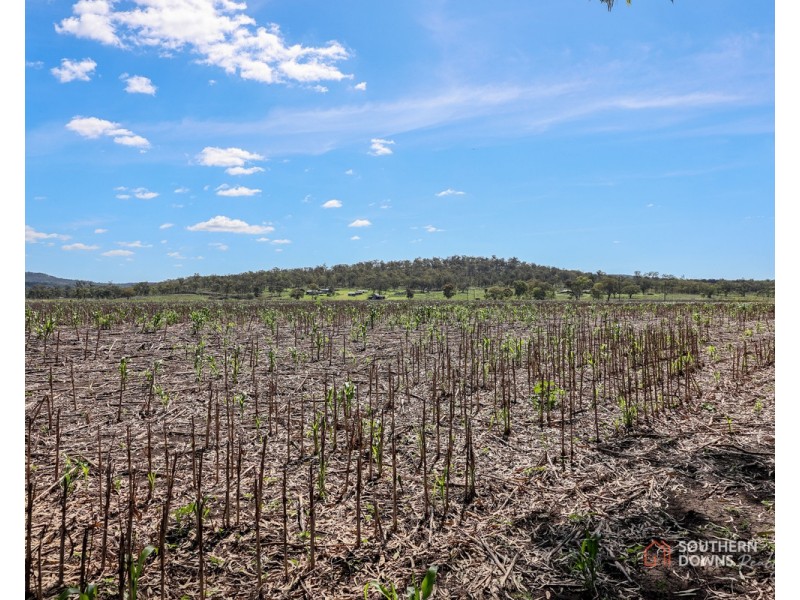 1 Condamine River Road, Pratten QLD 4370