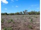 1 Condamine River Road, Pratten QLD 4370