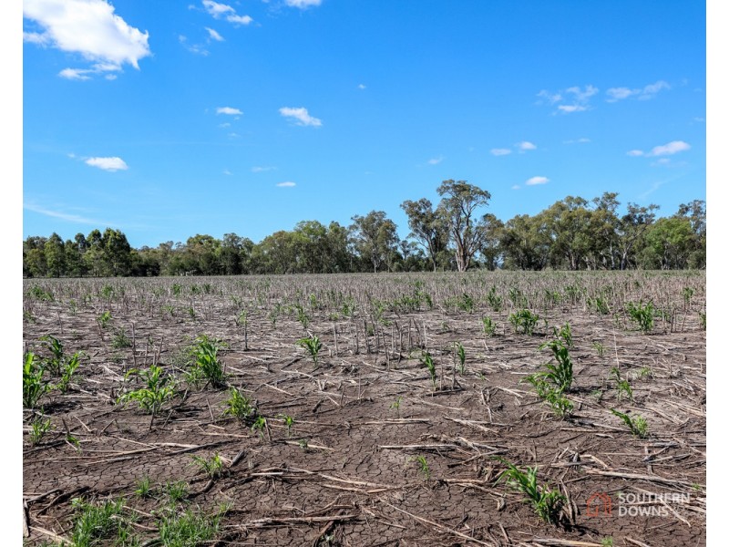 1 Condamine River Road, Pratten QLD 4370