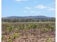 1 Condamine River Road, Pratten QLD 4370