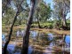 1 Condamine River Road, Pratten QLD 4370
