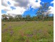 Multiple Lots at Big Hill Road, Thane QLD 4370