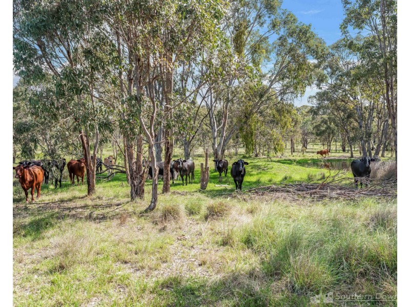 15 Lochiel Road, Dalveen QLD 4374