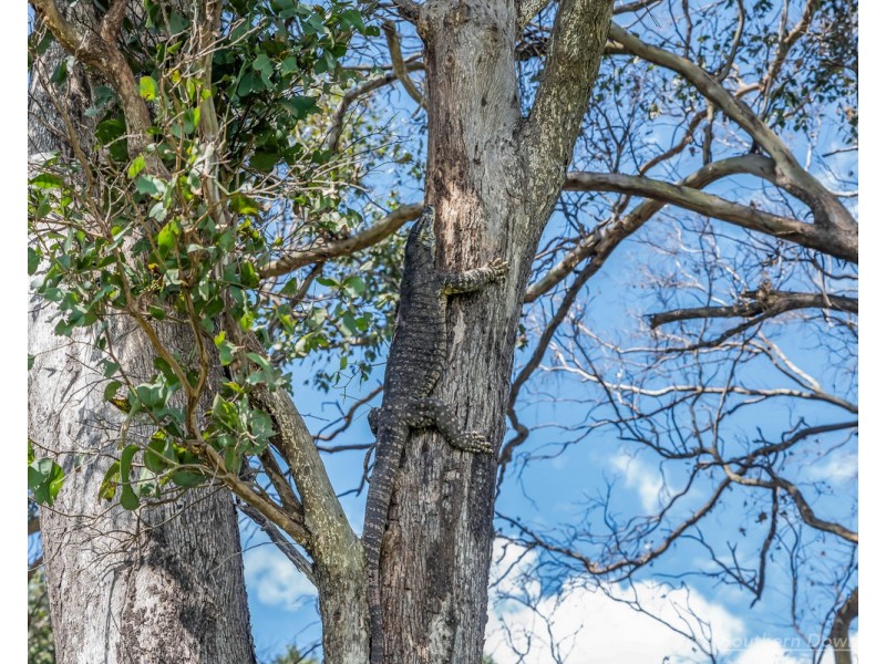 15 Lochiel Road, Dalveen QLD 4374
