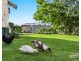8A Ailanthus Street, Killarney QLD 4373