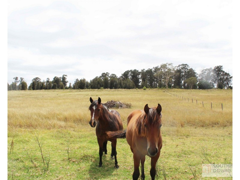 97 Yangan Killarney Road, Tannymorel QLD 4372