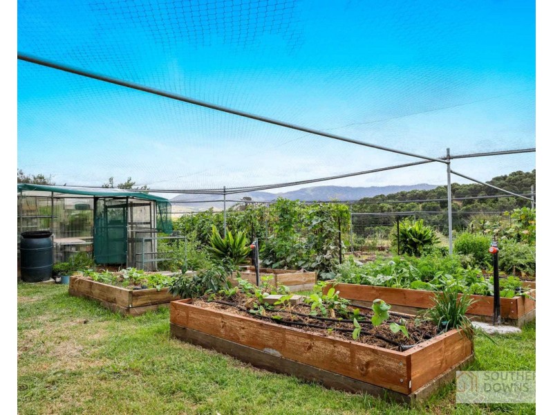 272 Denmark Lane, Emu Vale QLD 4371