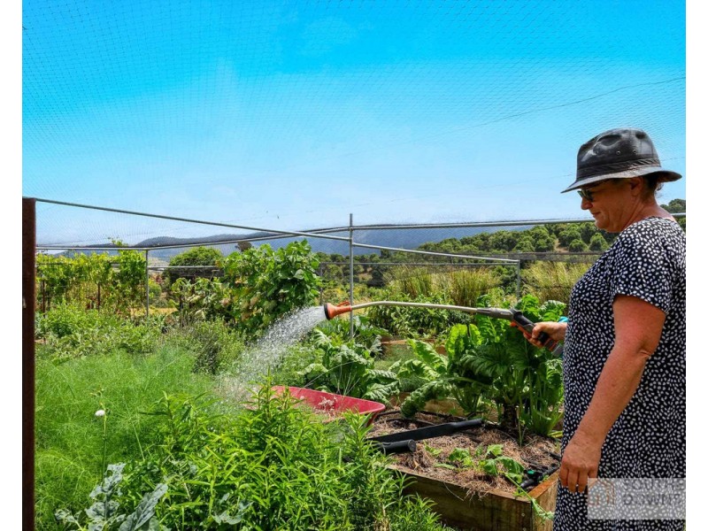 272 Denmark Lane, Emu Vale QLD 4371