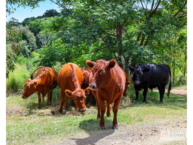 272 Denmark Lane, Emu Vale QLD 4371