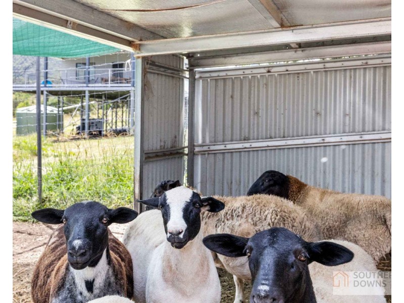 272 Denmark Lane, Emu Vale QLD 4371