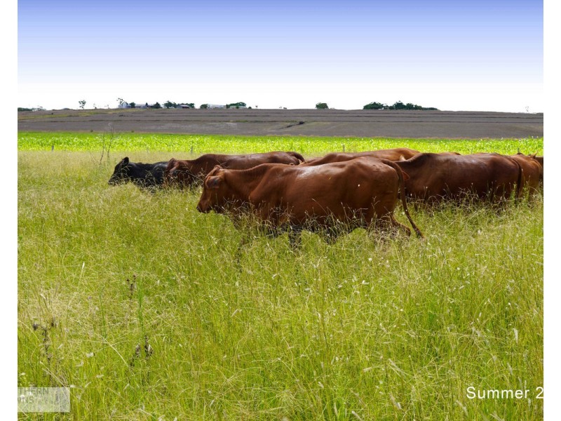 14 Armbruster Road, Junabee QLD 4370