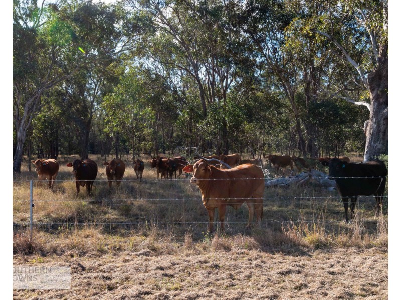 14 Armbruster Road, Junabee QLD 4370