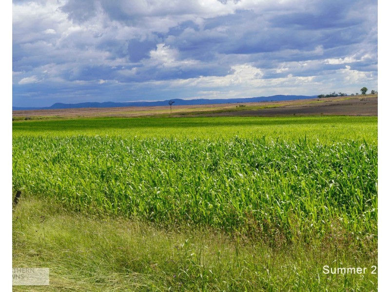 14 Armbruster Road, Junabee QLD 4370