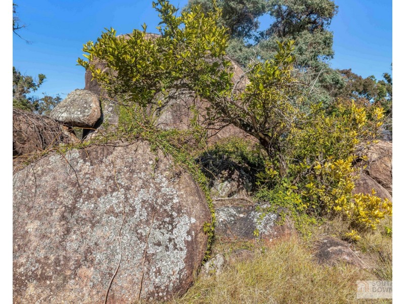 96 Caves Road, Stanthorpe QLD 4380