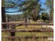 96 Caves Road, Stanthorpe QLD 4380